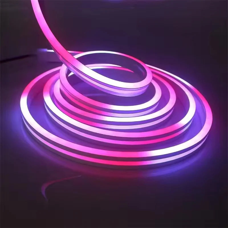 🌈 10M ARGB Neon Rope Light